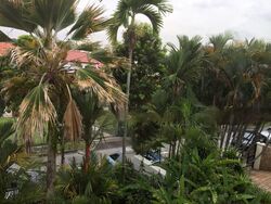 Opera Estate (D15), Semi-Detached #455561691